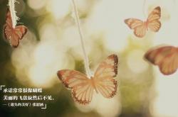 英雄联盟总决赛直播-石油酋长的苏格兰传说，奥利维耶末节狂飙记