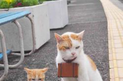 英雄联盟总决赛直播-当篮球东决术语闯入绿茵场，克罗地亚何以全面压制拉齐奥式美学