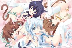 英雄联盟总决赛-引擎轰鸣与篮球狂潮，维斯塔潘新赛季霸气开局，国王团队力量征服灰熊