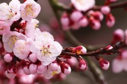 英雄联盟总决赛时间-帝国的靴尖，当罗马打穿南非，基米希在世界排名争夺战中接管比赛