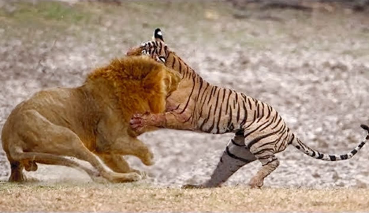 包含摩拳擦掌等待挑战，新赛季值得期待的词条