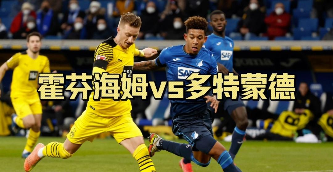 霍芬海姆攻防都有亮点,占据德甲第三位置的简单介绍 霍芬海姆攻防都有亮点,占据德甲第三位置的简单介绍