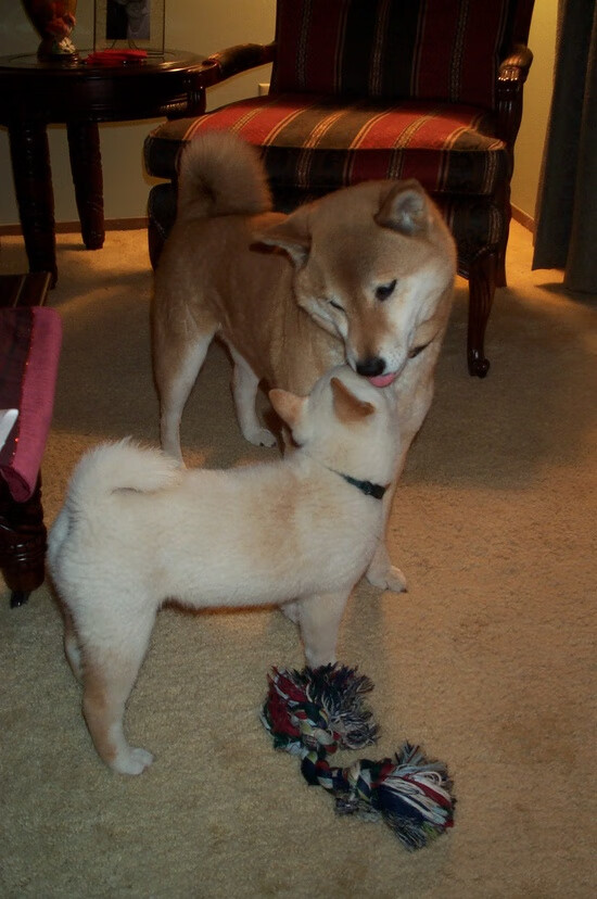 当高原雷暴掀翻蓝黑军团，一位中卫的海拔革命