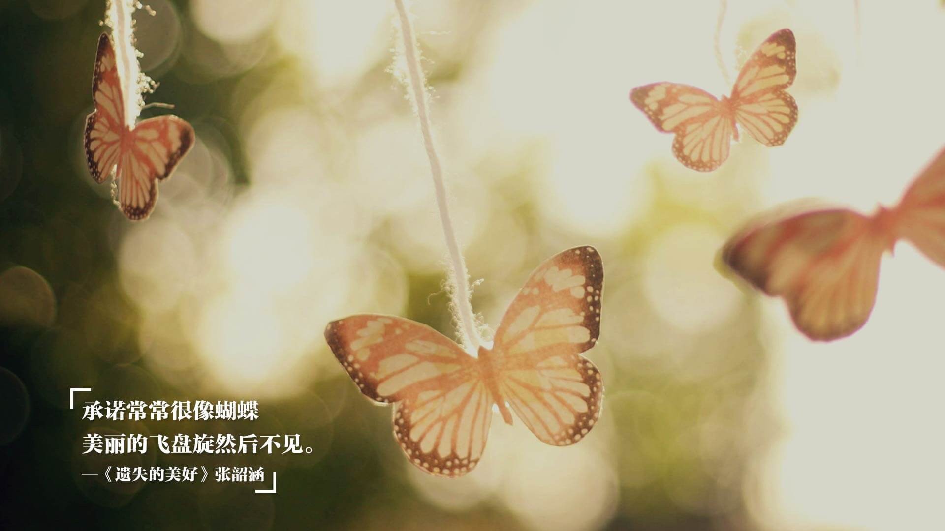 石油酋长的苏格兰传说，奥利维耶末节狂飙记