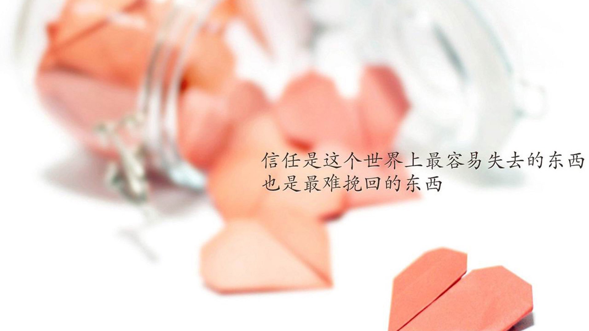 横跨半球的谜题，当国王队遇上新疆队，武切维奇为何破解无门？