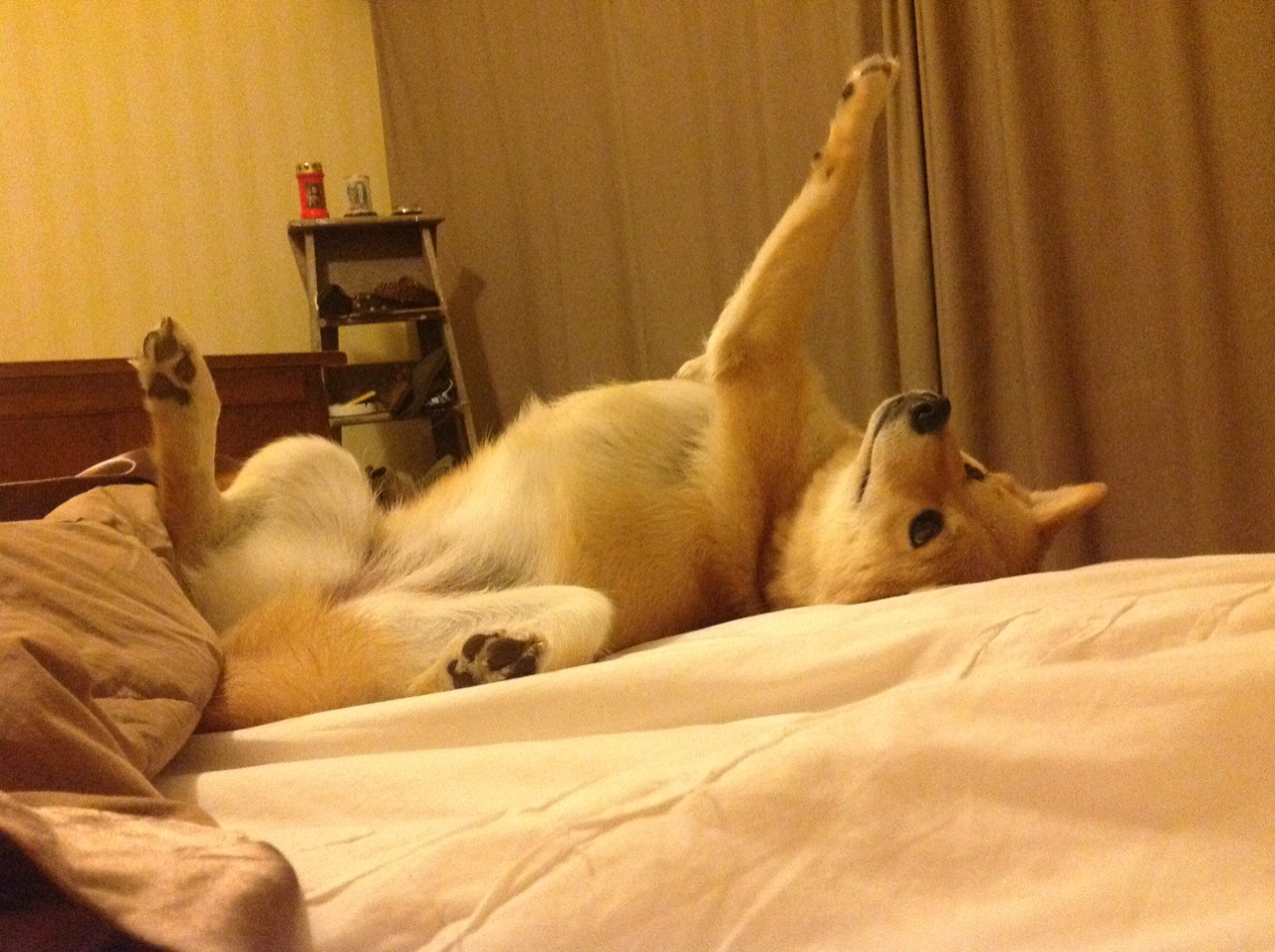 悬崖边的怒吼,伦纳德压哨绝杀背后的七种武器