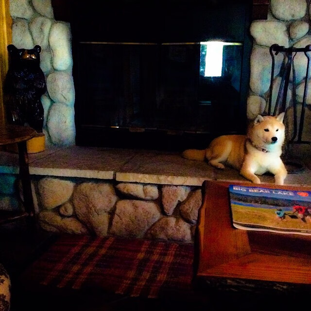 绿茵魔法，当加维的灵感为中国按下四十五秒奇迹快进键