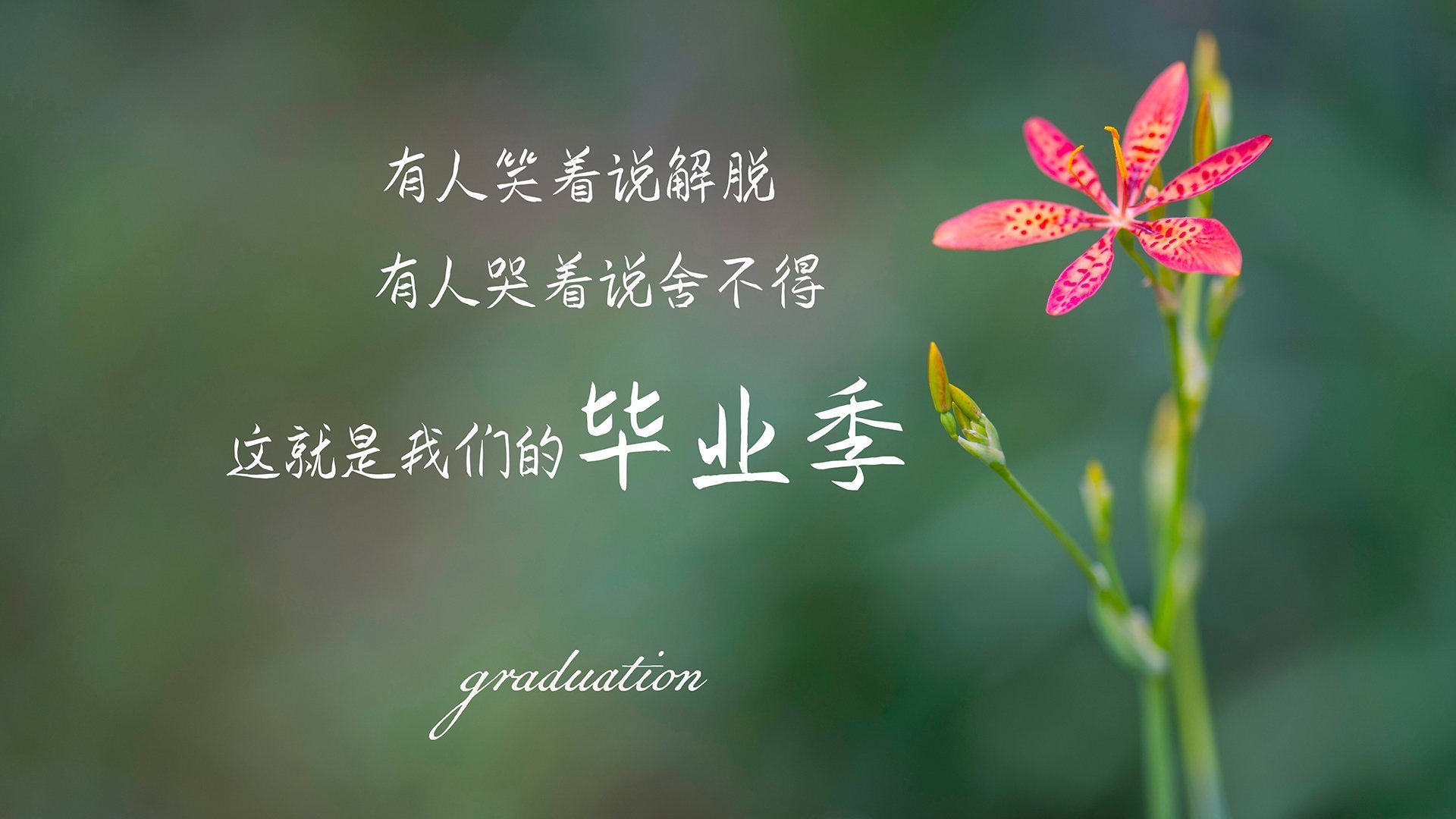 ‘急停与启动的艺术’多诺万·米切尔如何用攻防转换撕碎步行者的夜晚