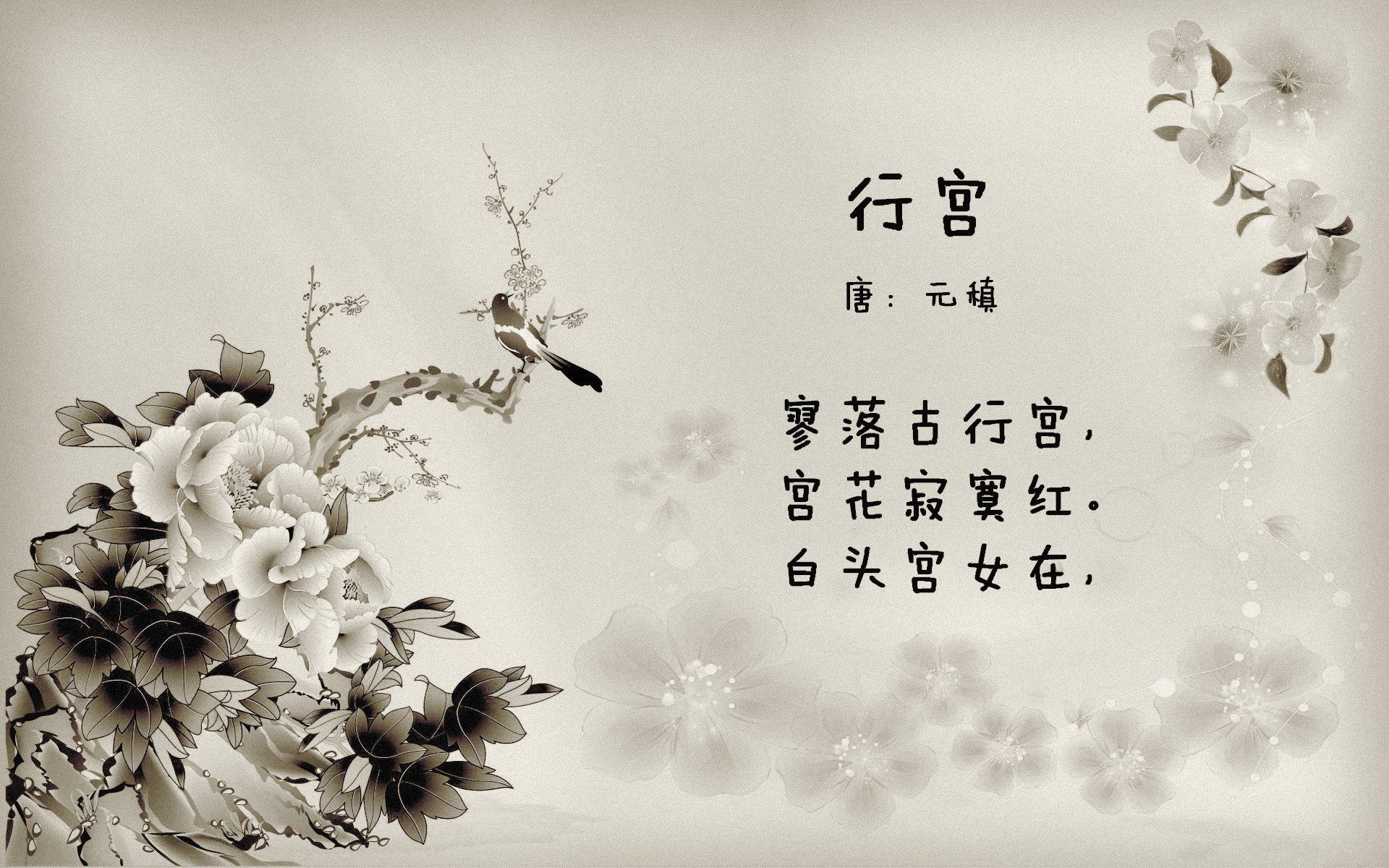 希腊怪兽跨时空助攻？字母哥战术板意外点拨快船击溃灰熊