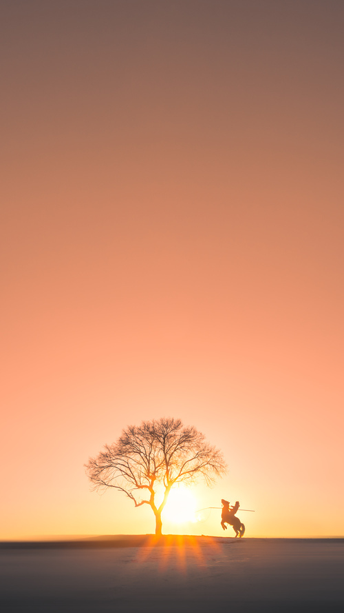 破茧之刃与破局之人，马克西如何撕裂76人老迈体系的重围