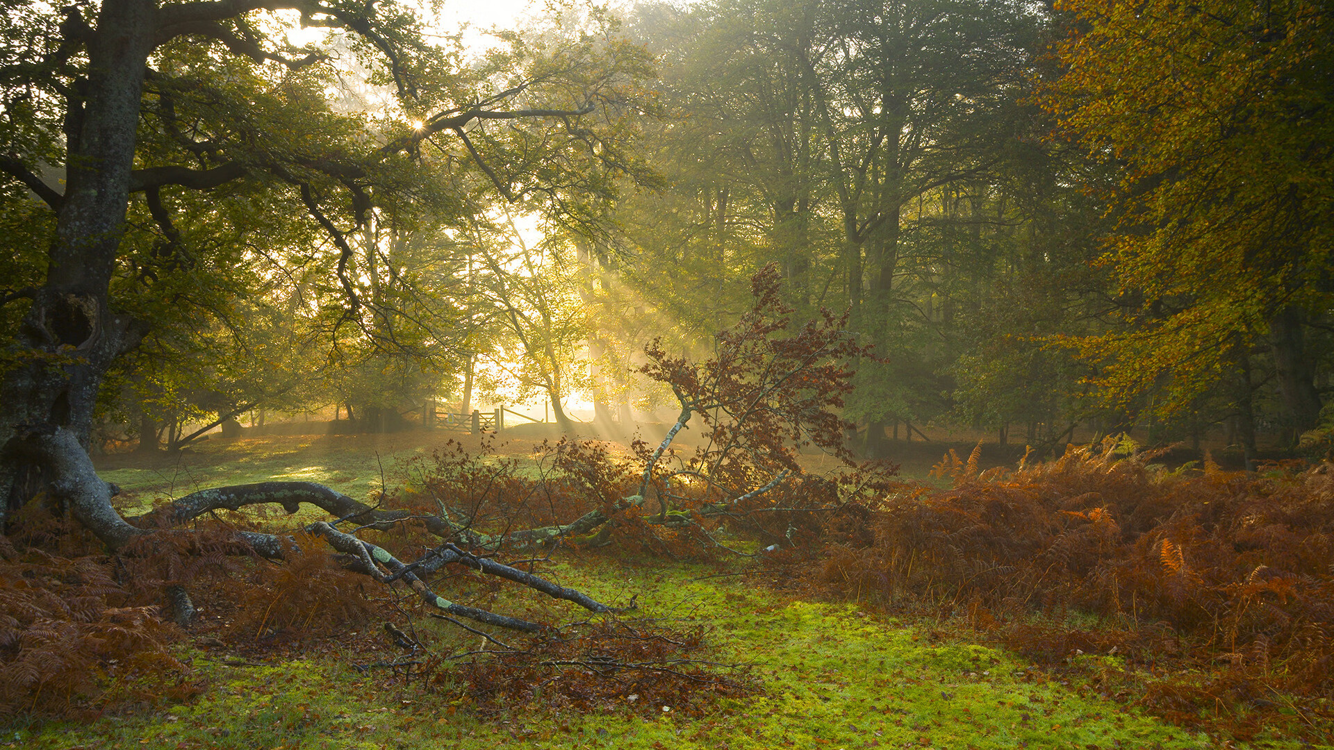 对话交锋,当比利亚雷亚尔黄潮遇上卡塔尔金湾,马丁内利的硬仗音符
