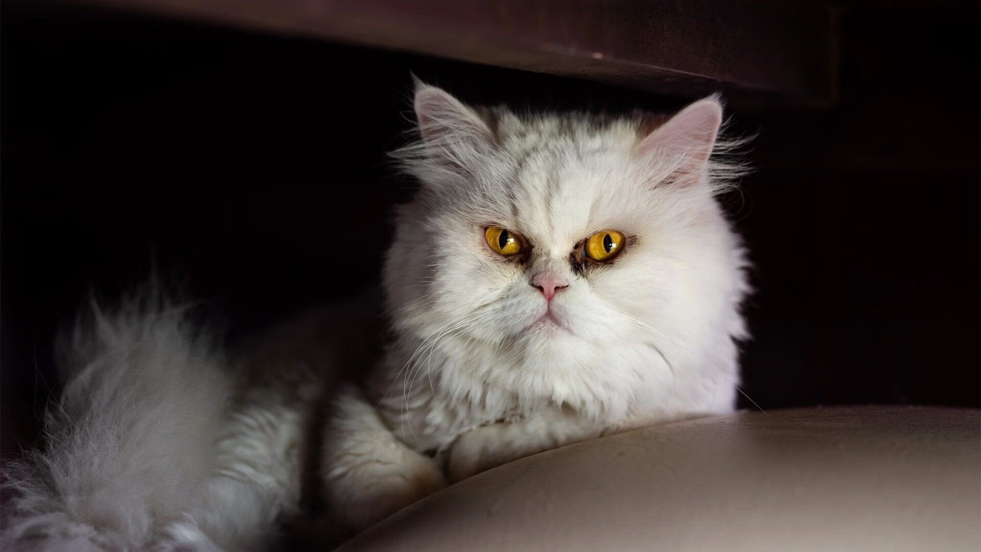 贝恩利刃出鞘,火力网笼罩赛场,一场定义冠军相的对决