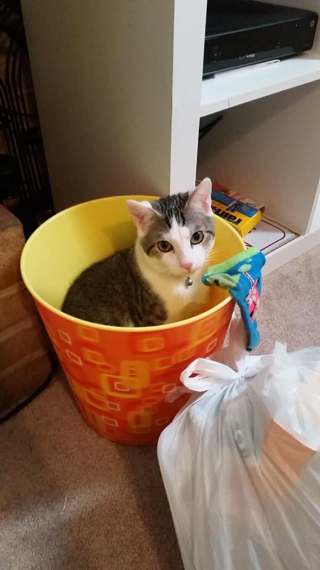 冰岛寒冰 vs 雷恩火焰，欧冠淘汰赛史上最独特的鏖战