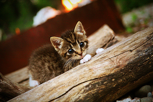 长夜里的孤星，极限运动中的唯一性神话