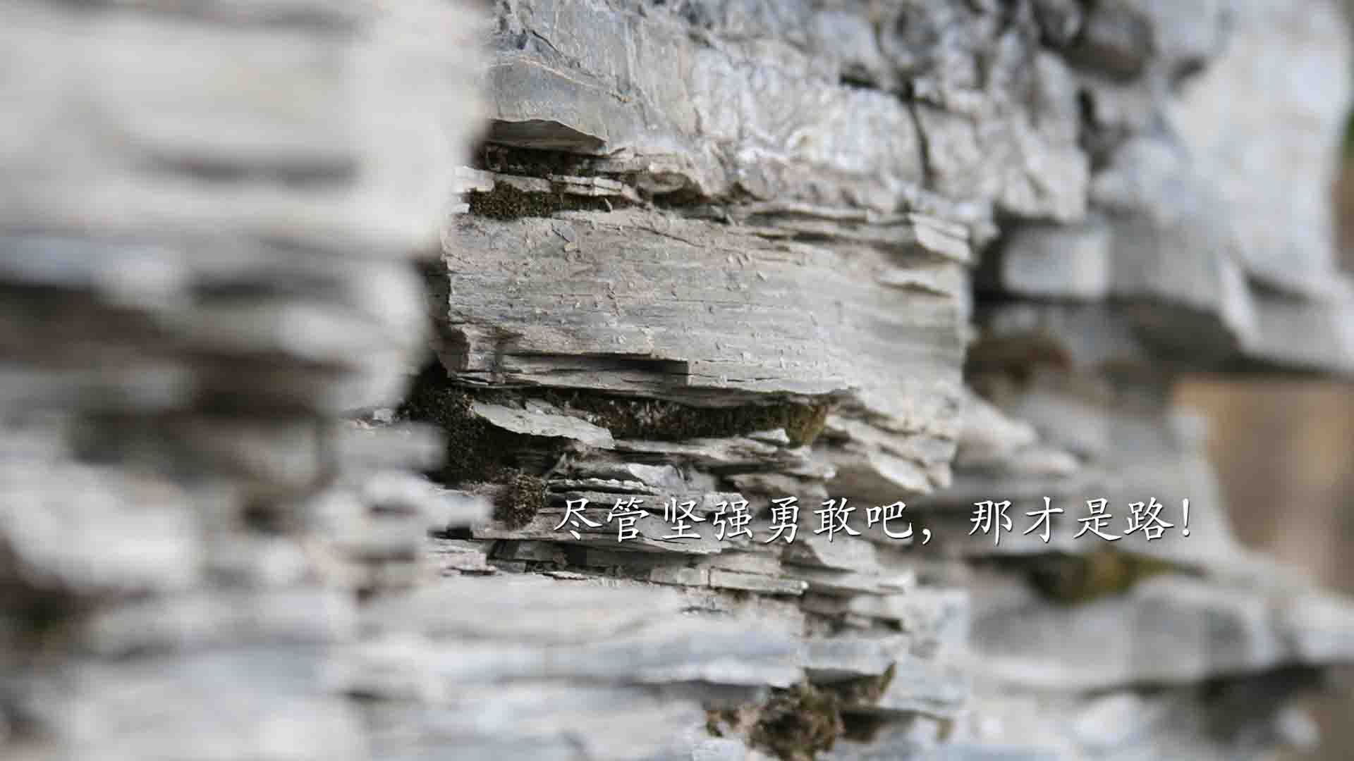 2026世界杯巅峰对决,阿根廷完胜匈牙利,贝林厄姆独舞难救主
