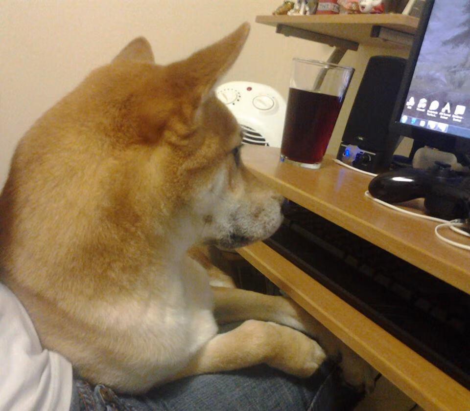 唯一的一次,2026世界杯决赛,京多安那一脚如何让比利时登上世界之巅